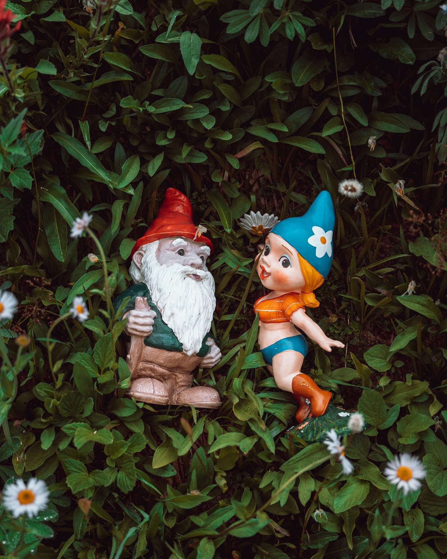 She&rsquo;s a 10 but she posts a gnome couple&rsquo;s shoot after months of radio silence. 👋🏻