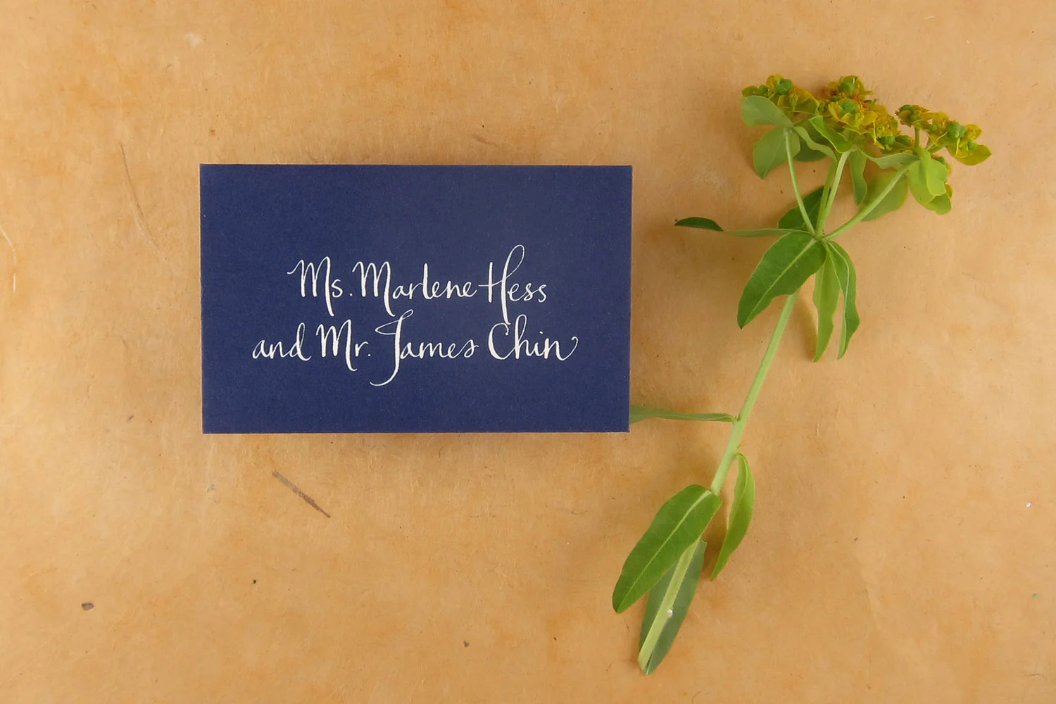 paperfinger-placecard-hess.JPG