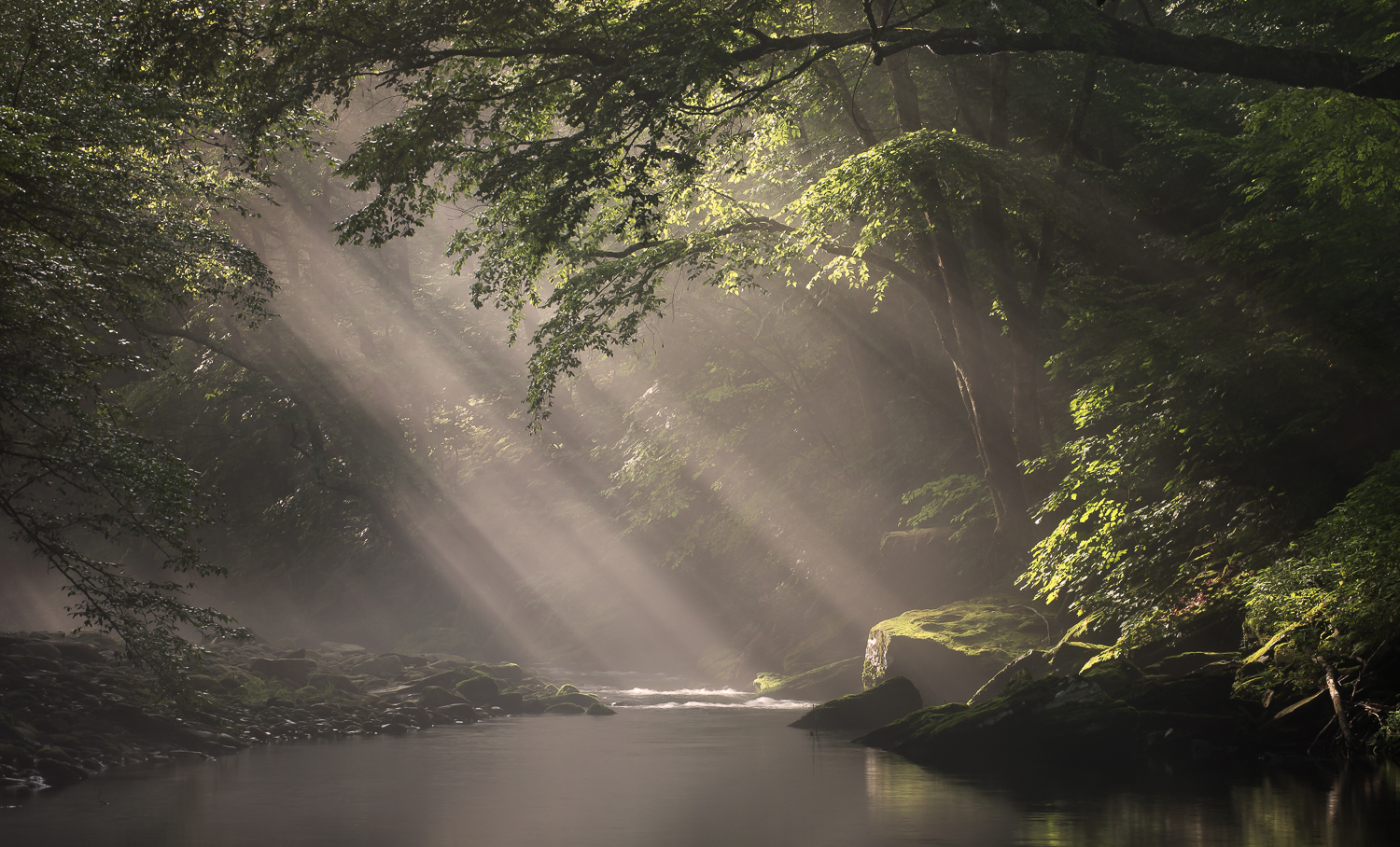 Rondout Rays