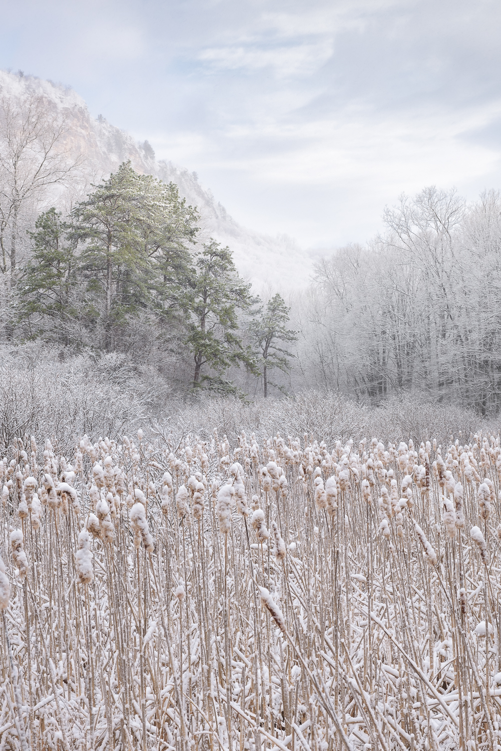 April Snow