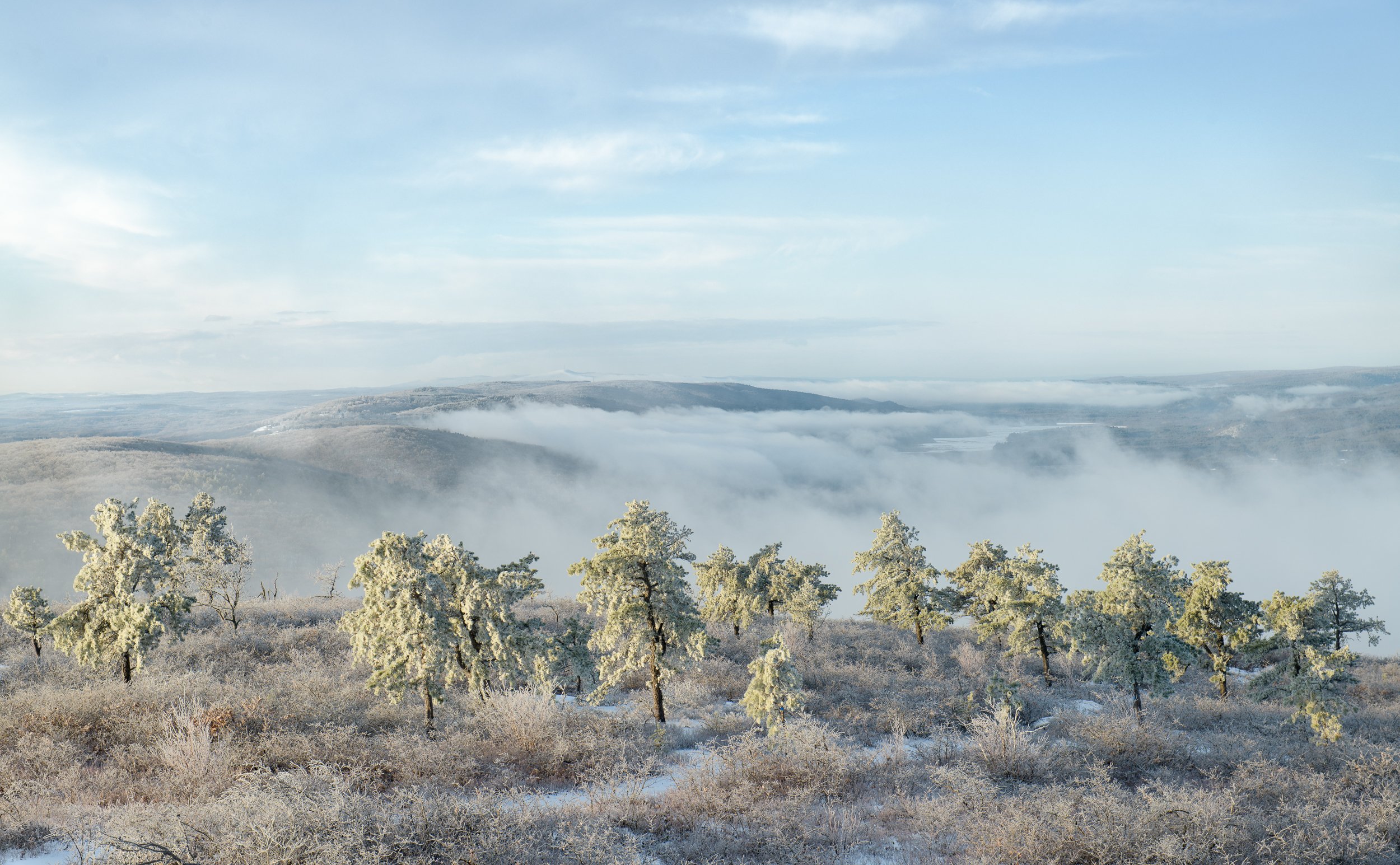 Ridgetop Morning