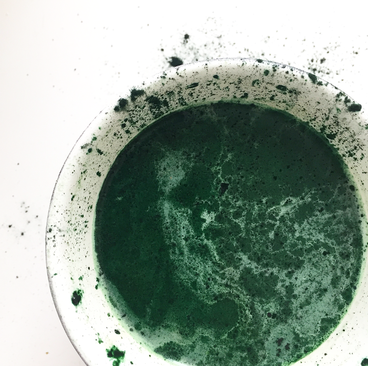 algae magic protein elixir
