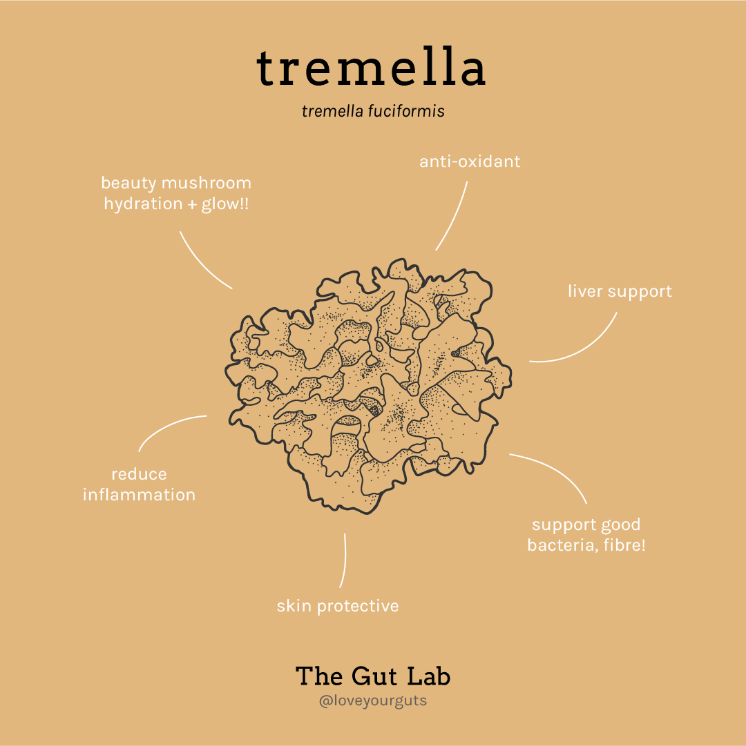 GL_Tremella_Info.png