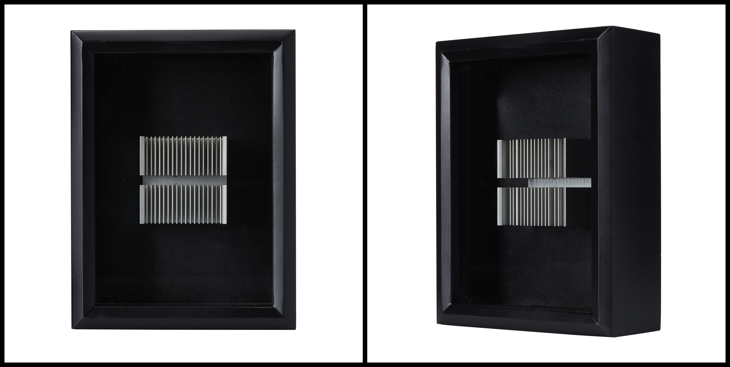untitled (specimens &amp; trophies) / 6x8x3"