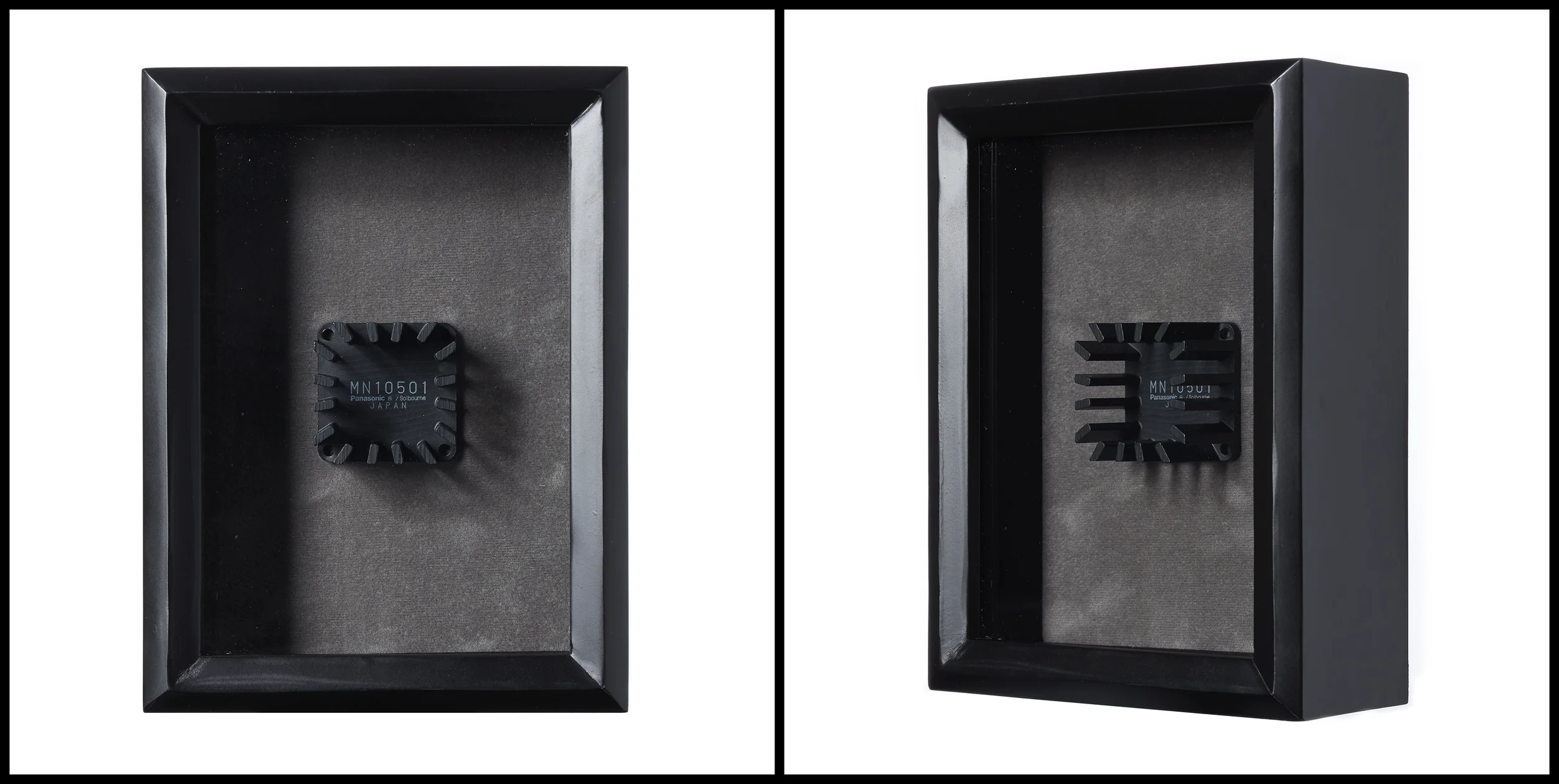 untitled (specimens &amp; trophies) / 8x6x3"
