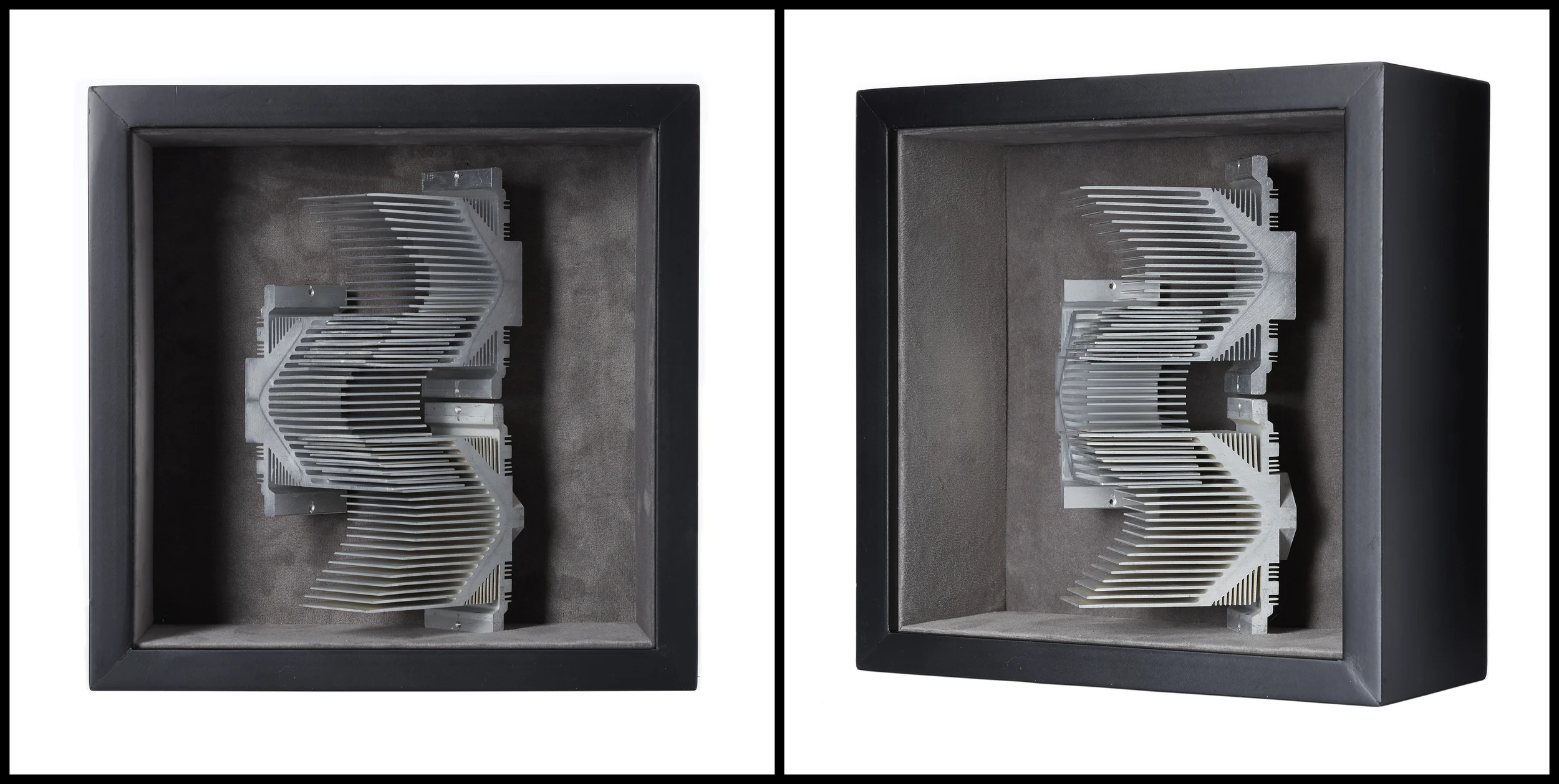 untitled (specimens &amp; trophies) / 11x11x5"