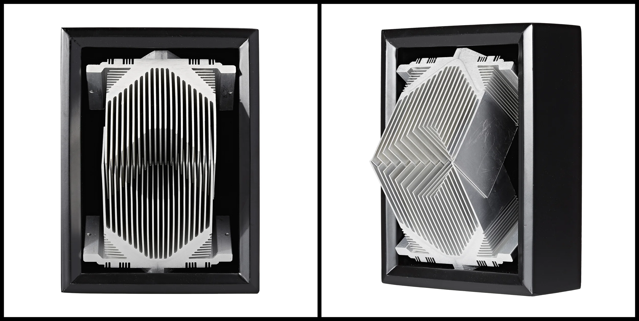 untitled (specimens &amp; trophies) / 8x6x6"