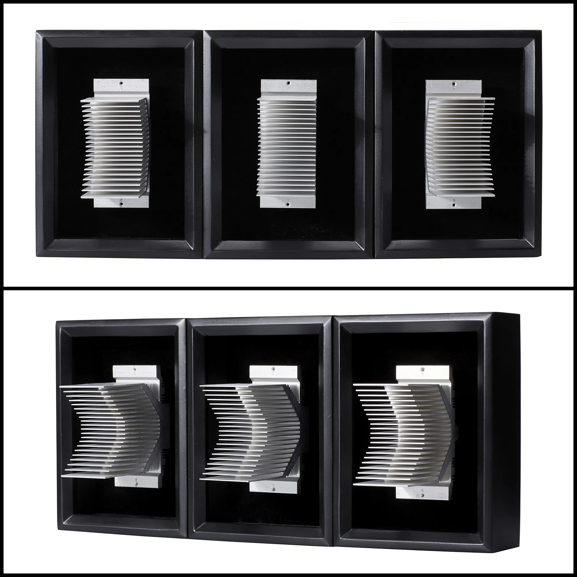 untitled triptych (specimens &amp; trophies) / 17x8x5"