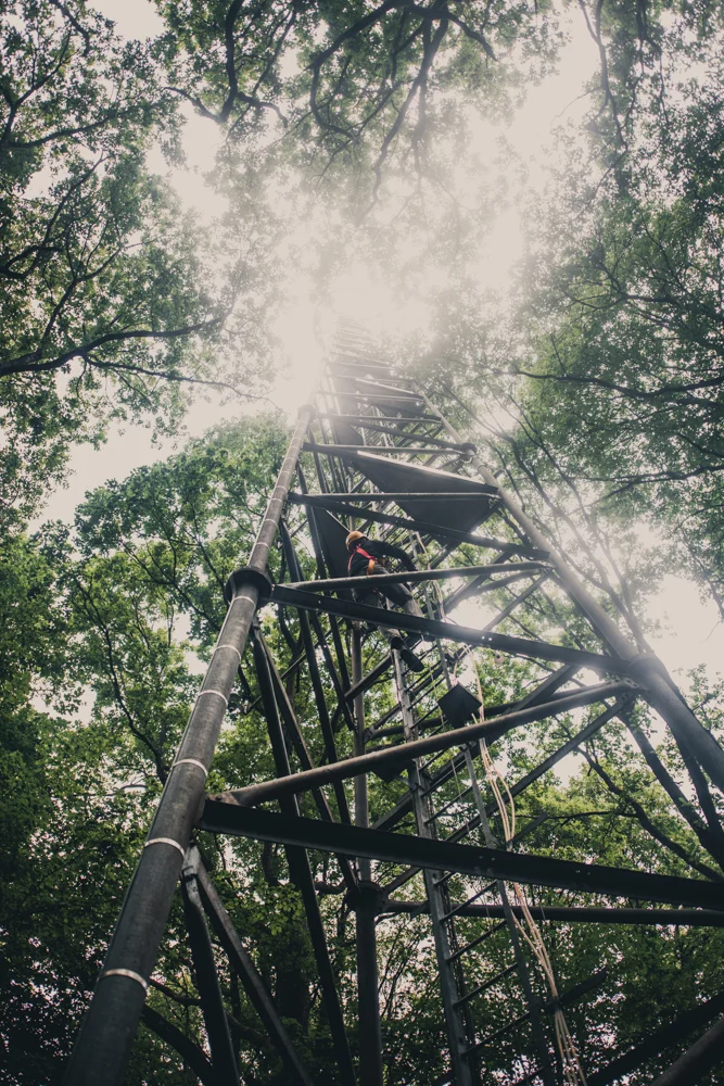 Researcher climbing up the measurement tower. France 2017
