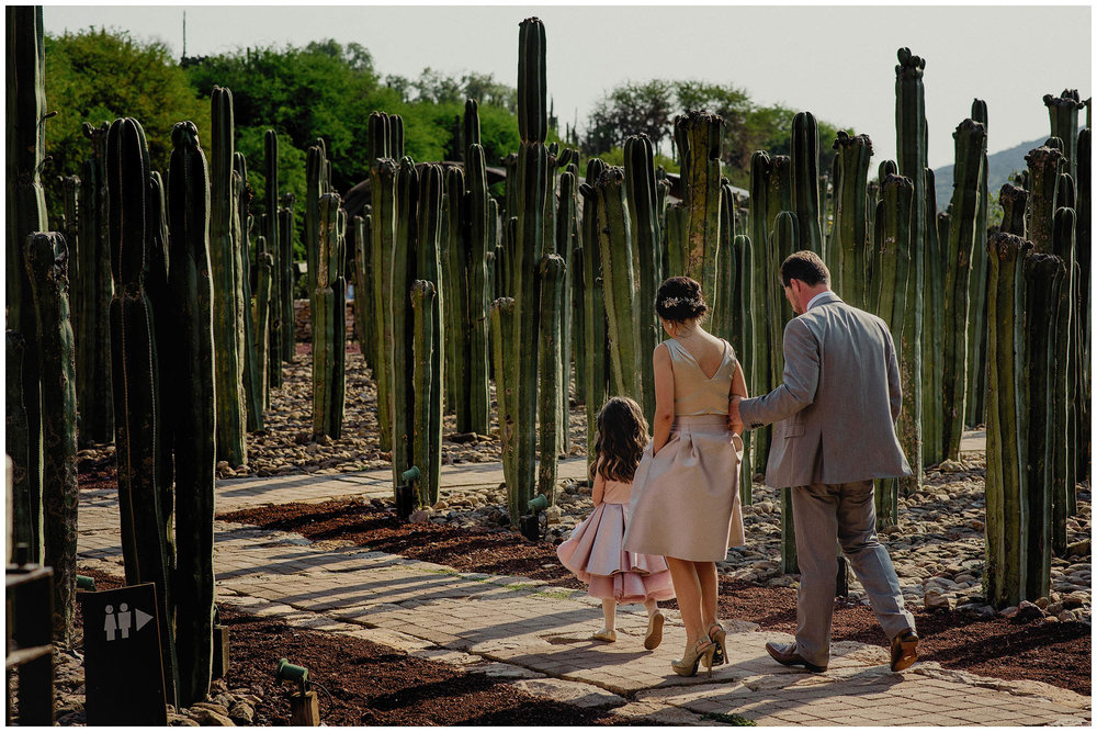 fotografo-bodas-viñedo-puerta-lobo-013.jpg