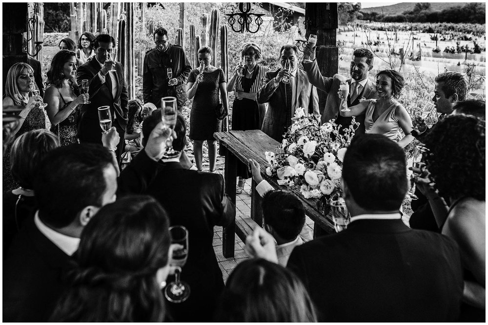 fotografo-bodas-viñedo-puerta-lobo-029.jpg