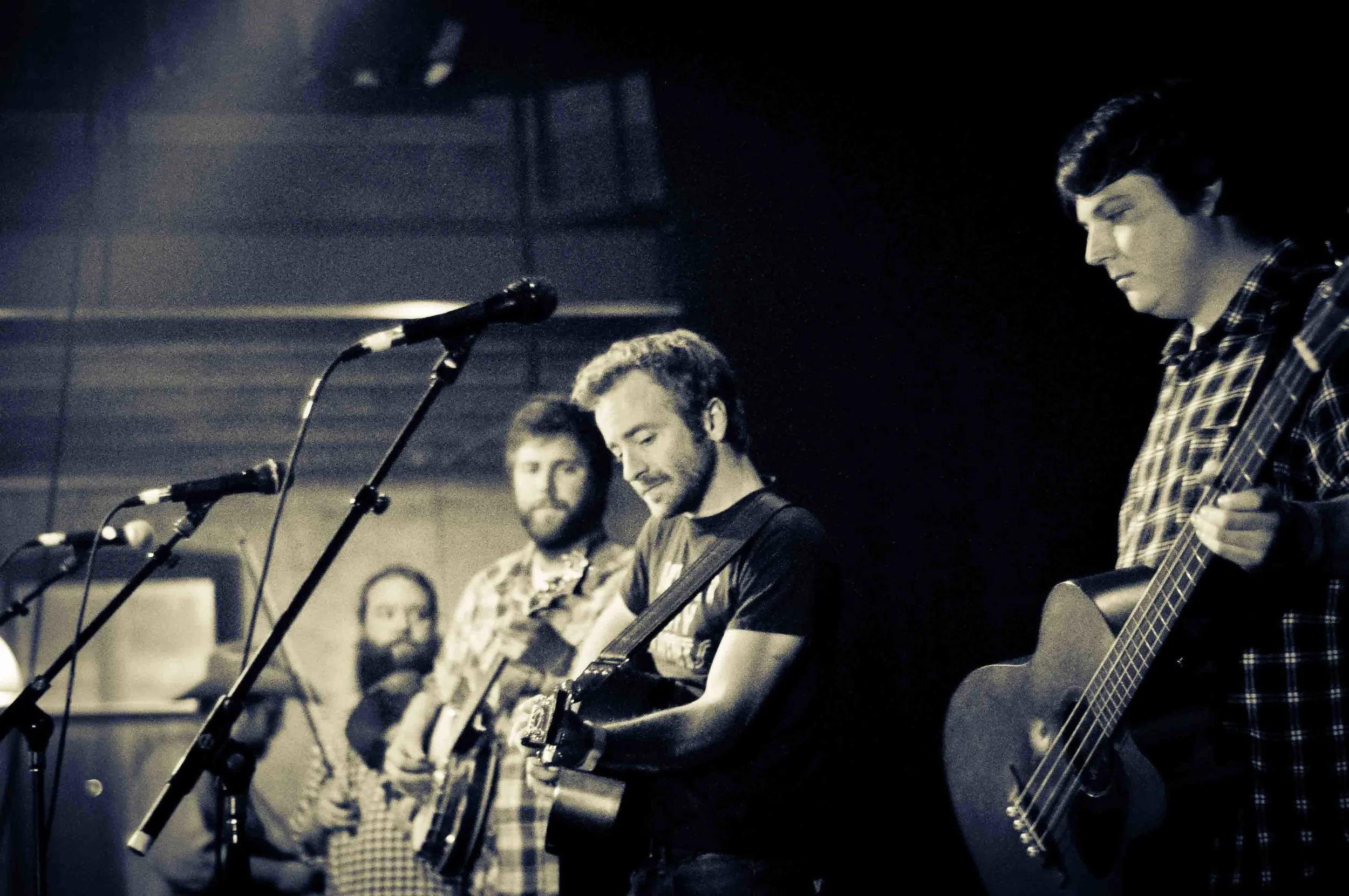 Trampled By Turtles