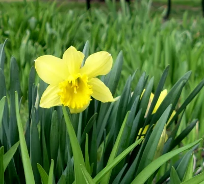 Spring into love . . . your park