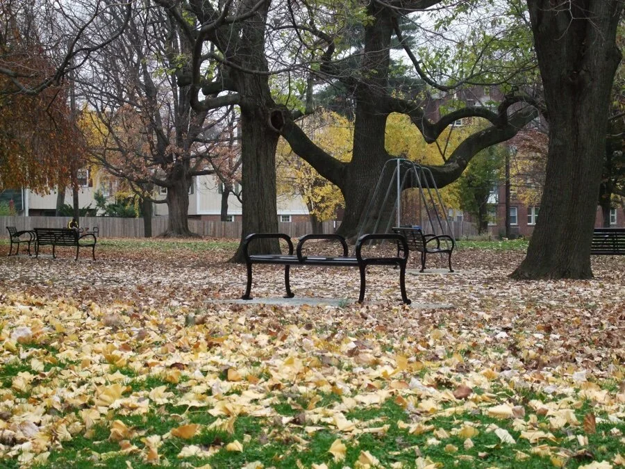 Autumn