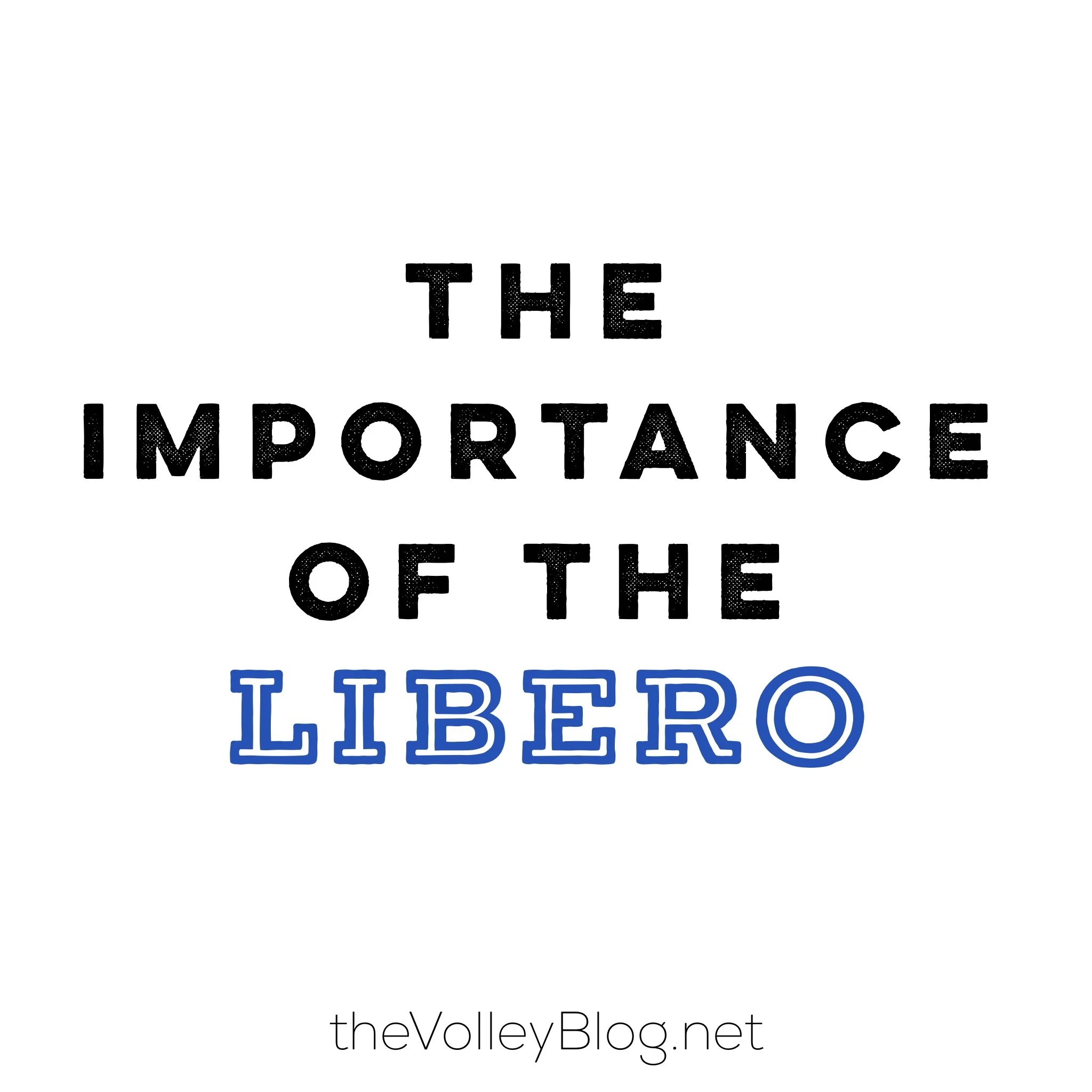 The Importance of the Libero