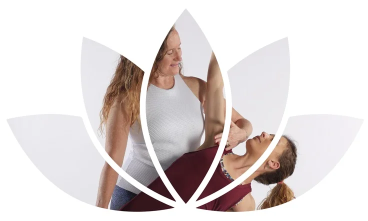 Lotus-Gentle-Flow.jpg