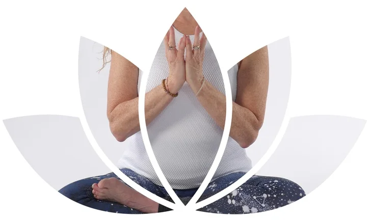 Lotus-Slow-Flow-Med.jpg