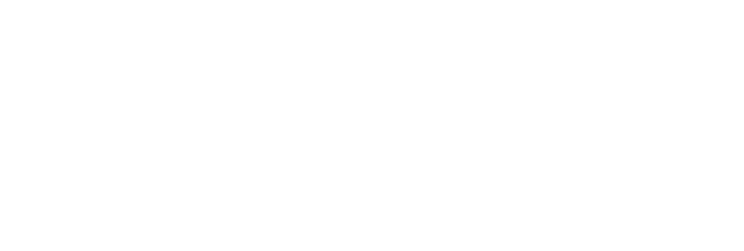 The Youth Success Network
