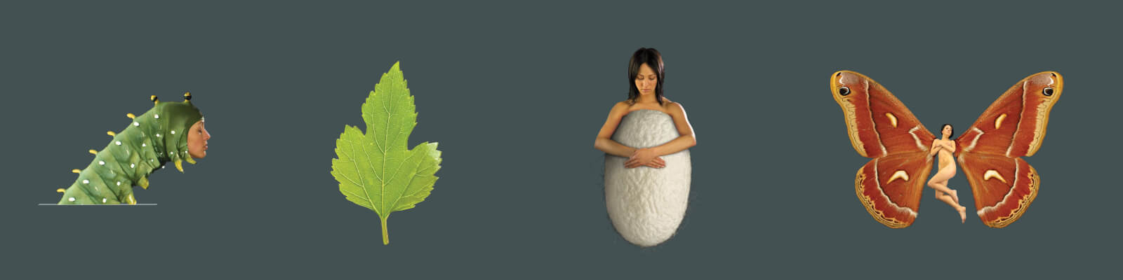 09-Metamorphosis-Banner-3.jpg
