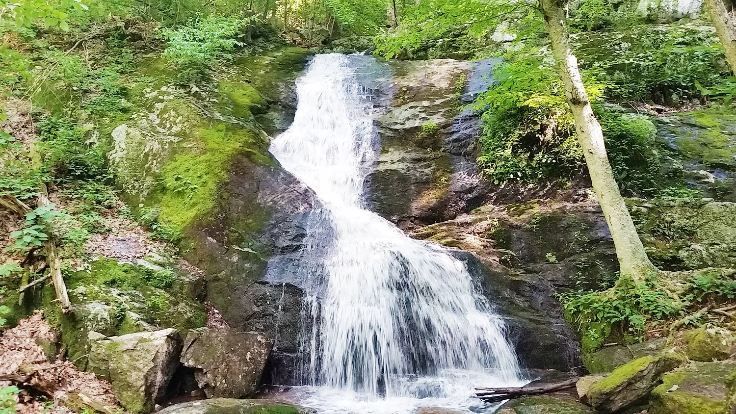Falls-4.jpg