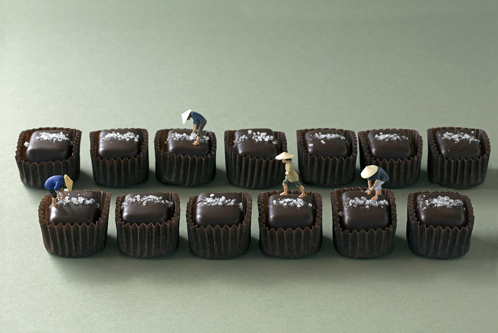 caramel+salt+harvesters+150ppi.jpg