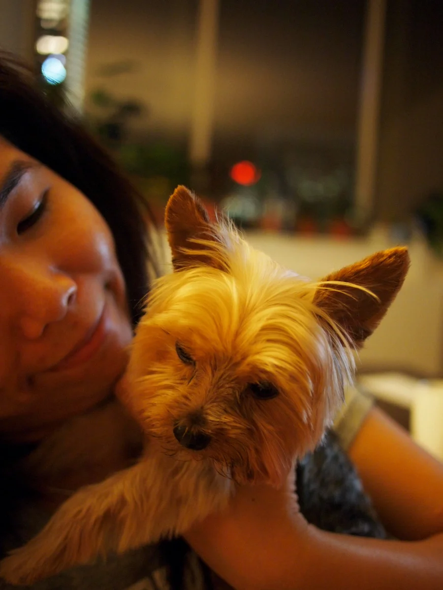 i-do-love-this-pup_5200437389_o.jpg