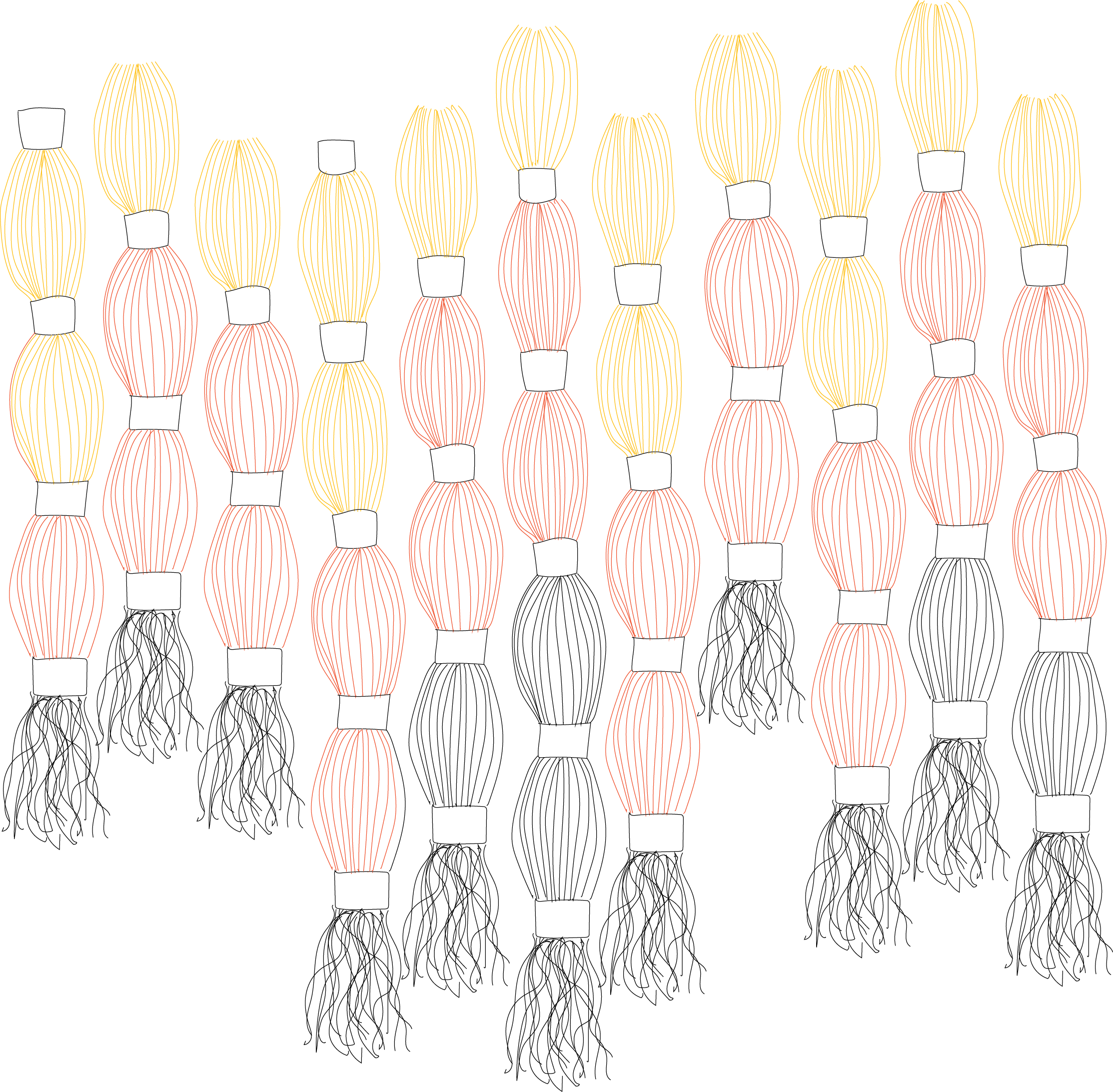 ikat-stems.png