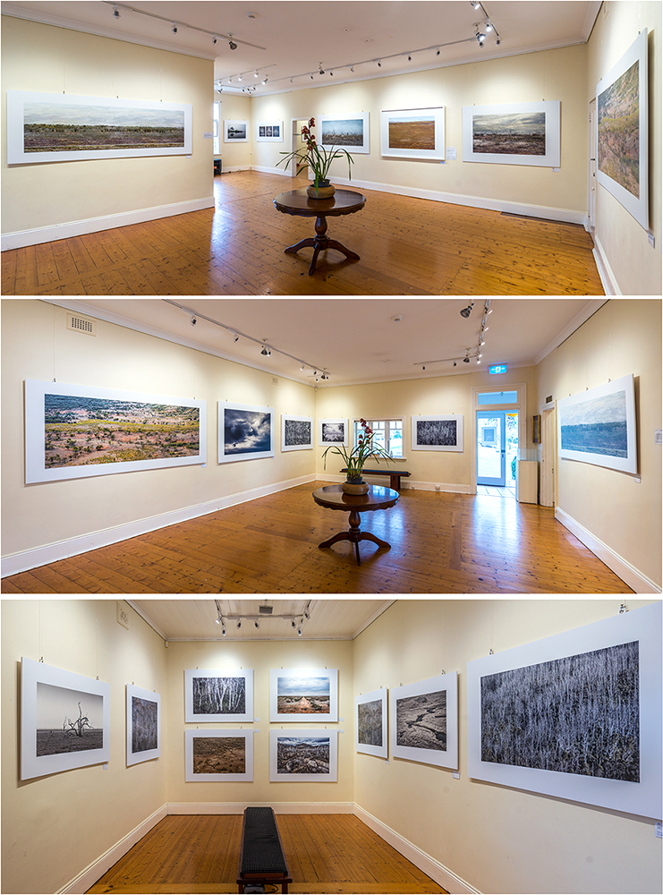 Gallery view.jpg