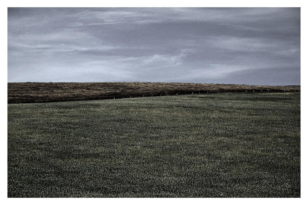 grass-and-sky-l-scape-ver2011-copy.jpg