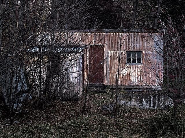 &lsquo;The Shack&rsquo;. Seems as though a theme is developing at @shac_robertson started by @lilycummins and @jamesking_paintboy. I humbly submit my shack. Just one of the many joys of being a part of such an amazing group of artists is the natural 