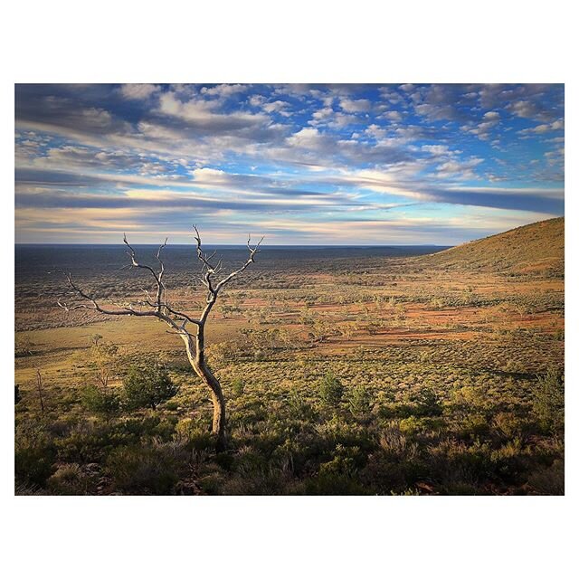 A truly magical place. Gunderbooka National Park.  About 60ks south of Bourke. The 90 min slog to the summit is worth it for the incredible views. (Though last nights chicken parma was playing havoc with my guts. Good thing I was alone).#outbacklands