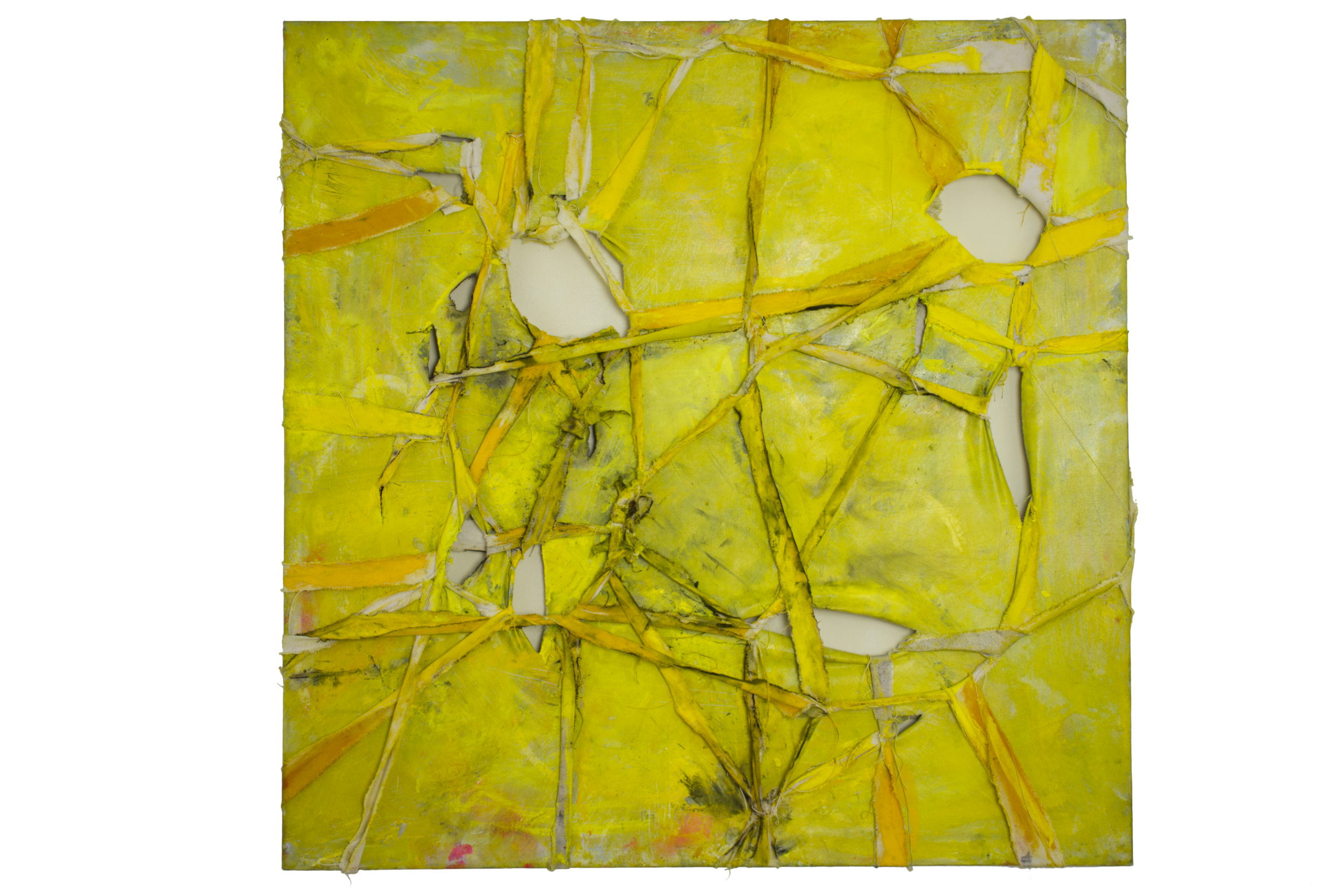 PierreOil and spray-paint and canvas on double mounted canvas2016