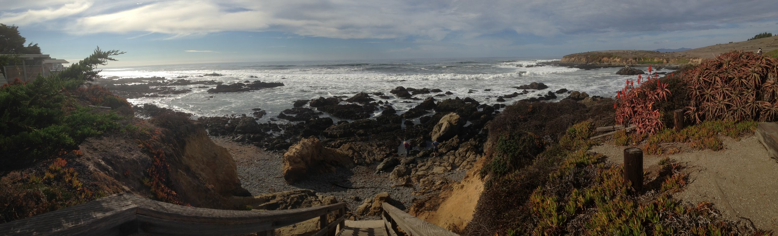Cambria beach.jpg