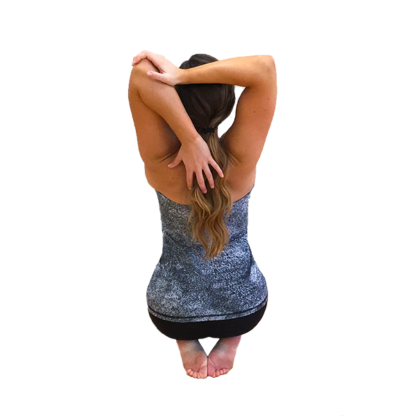 Triceps Seated Behind.png