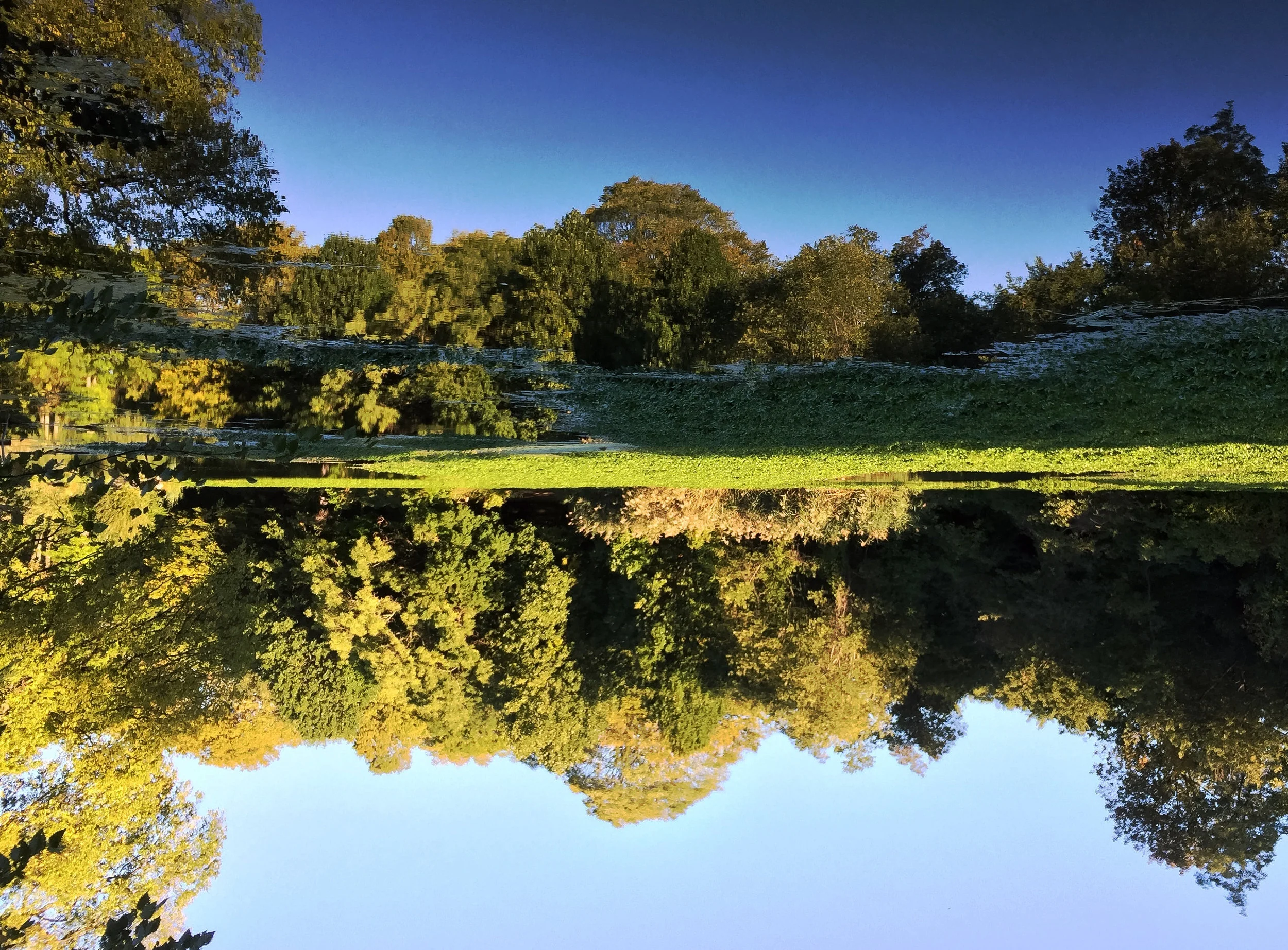 1.upside-down.jpg