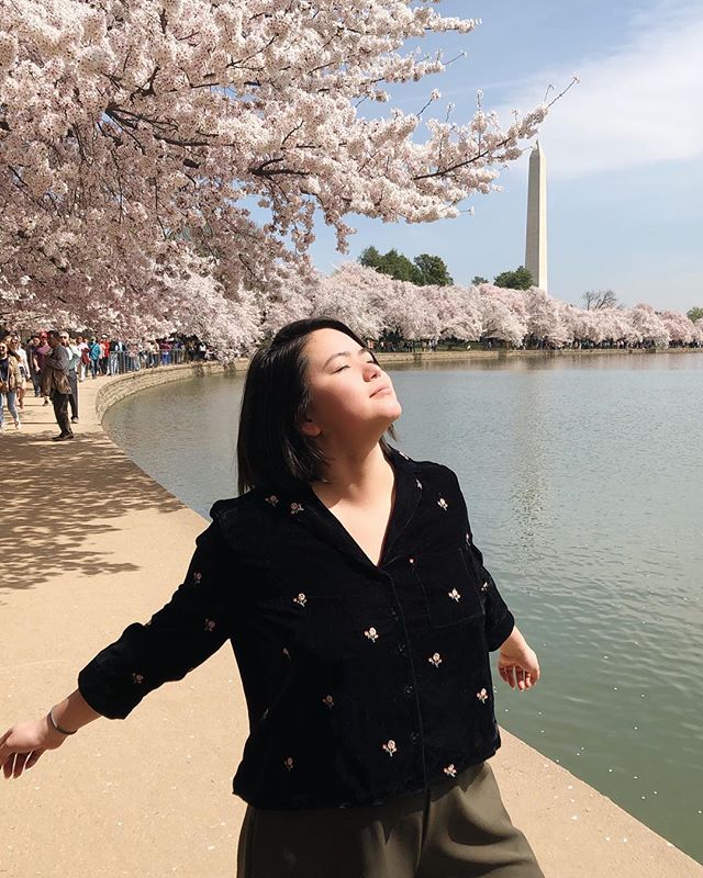 🌸 🌸 🌸 SAKURA SEASON 🌸 🌸 🌸 so happy that after 7 years on the east coast, I finally caught these babies in bloom in DC #cherryblossomdc #jbarrtravels