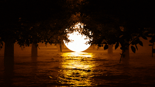 Mouth Of The River