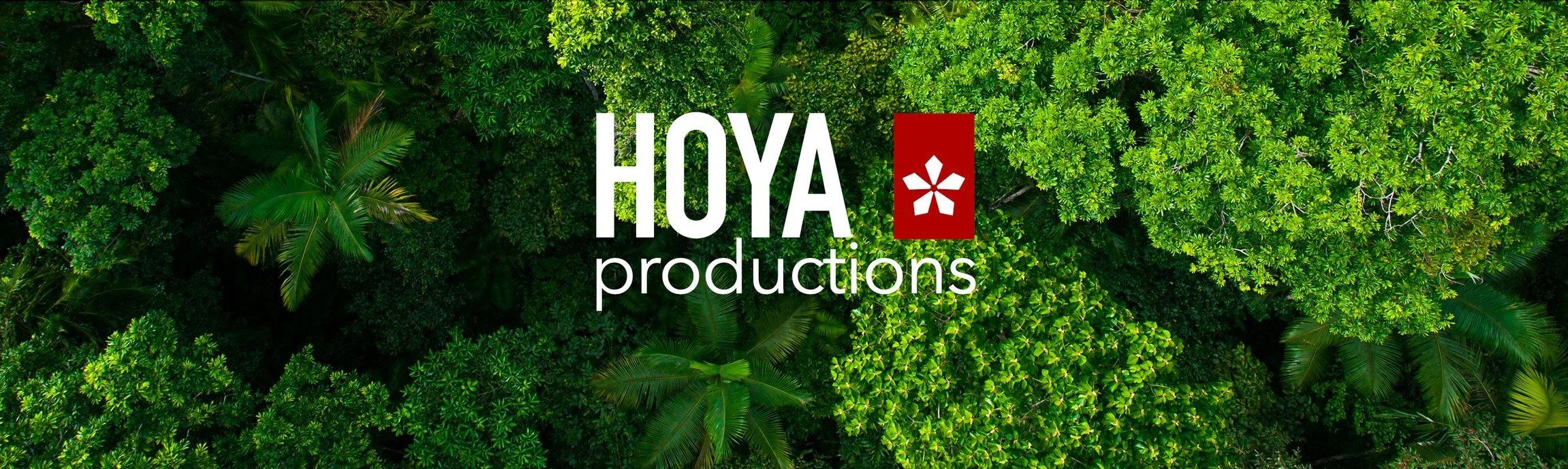 HOYA banner.jpg