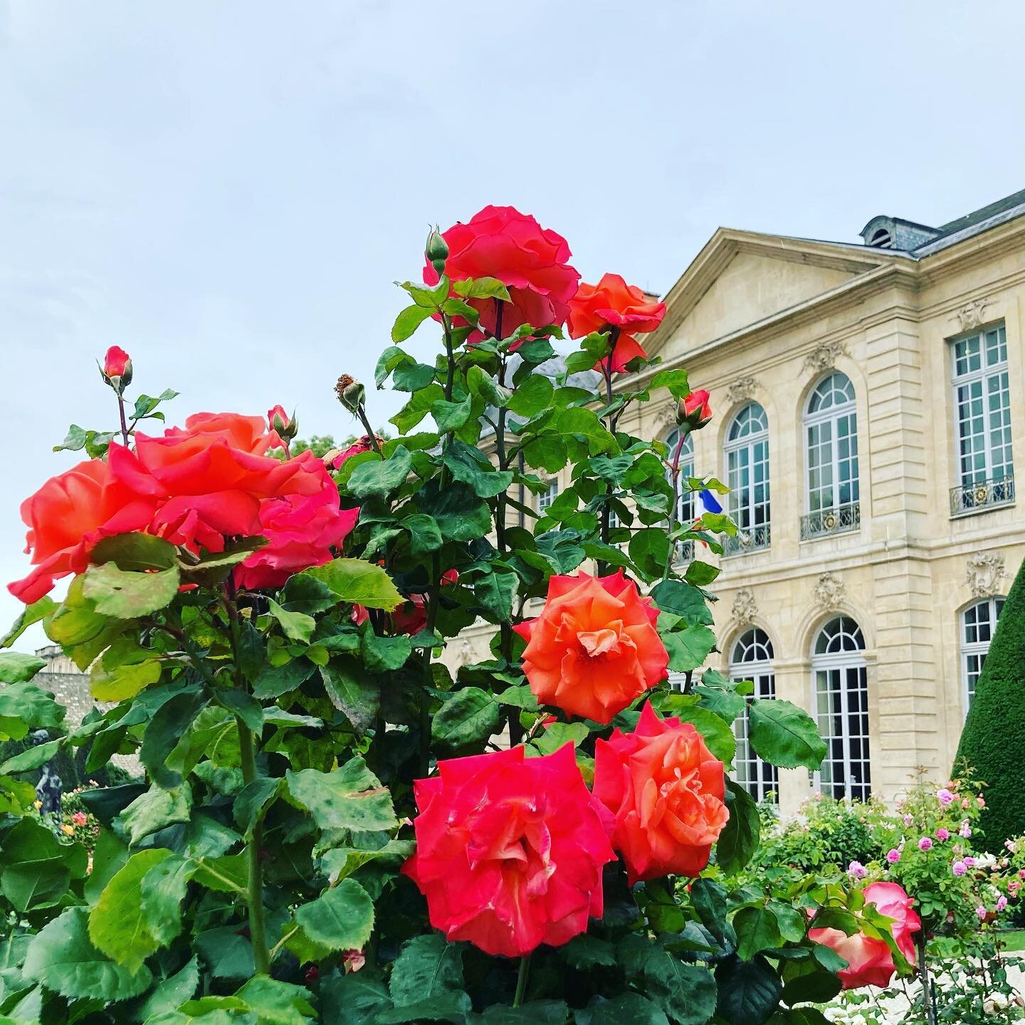 &ldquo;No rose without a thorn.&rdquo; 
&ndash; French Proverb