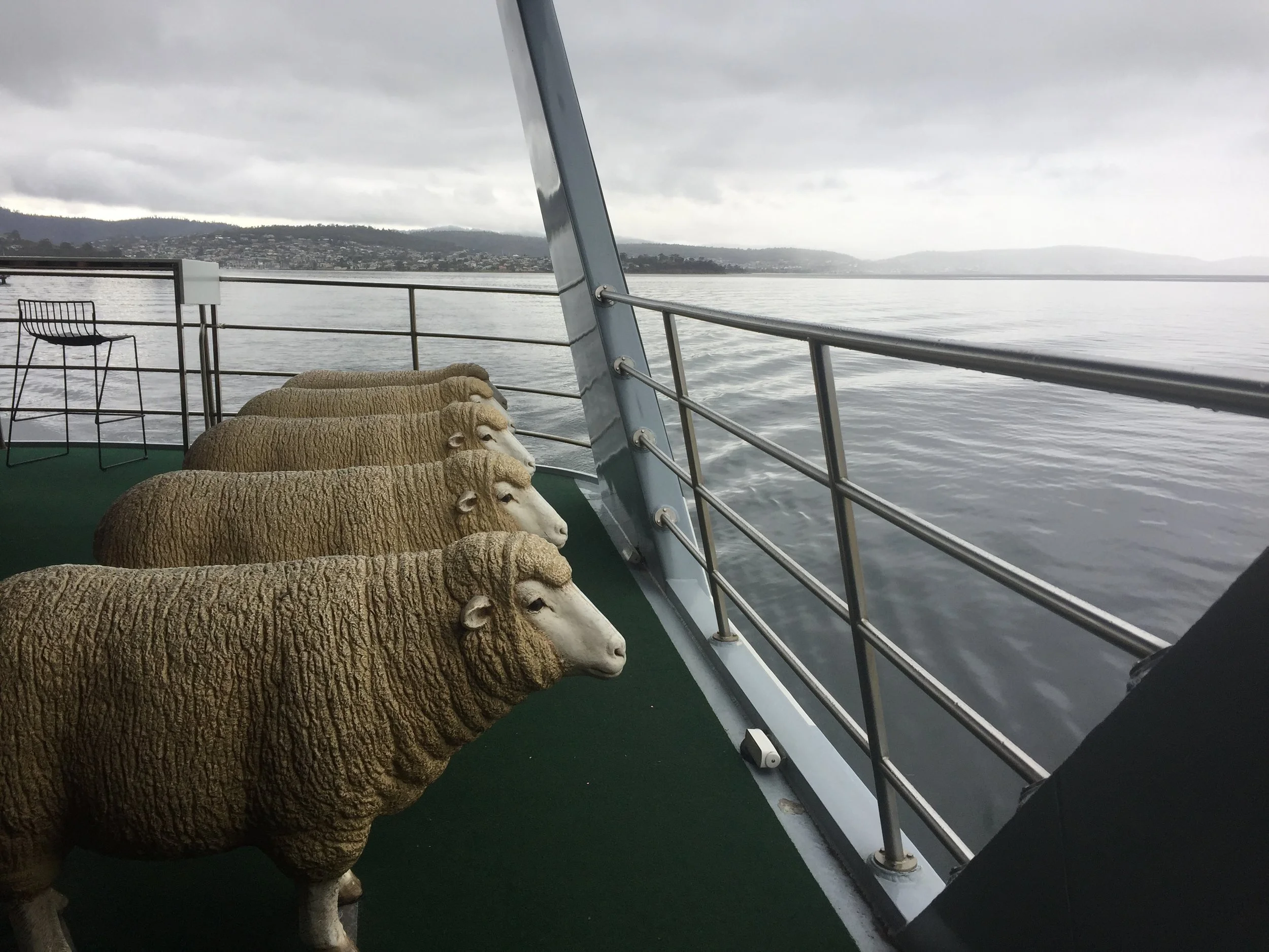On the Mona Roma, a catamaran between Hobart and Moorilla