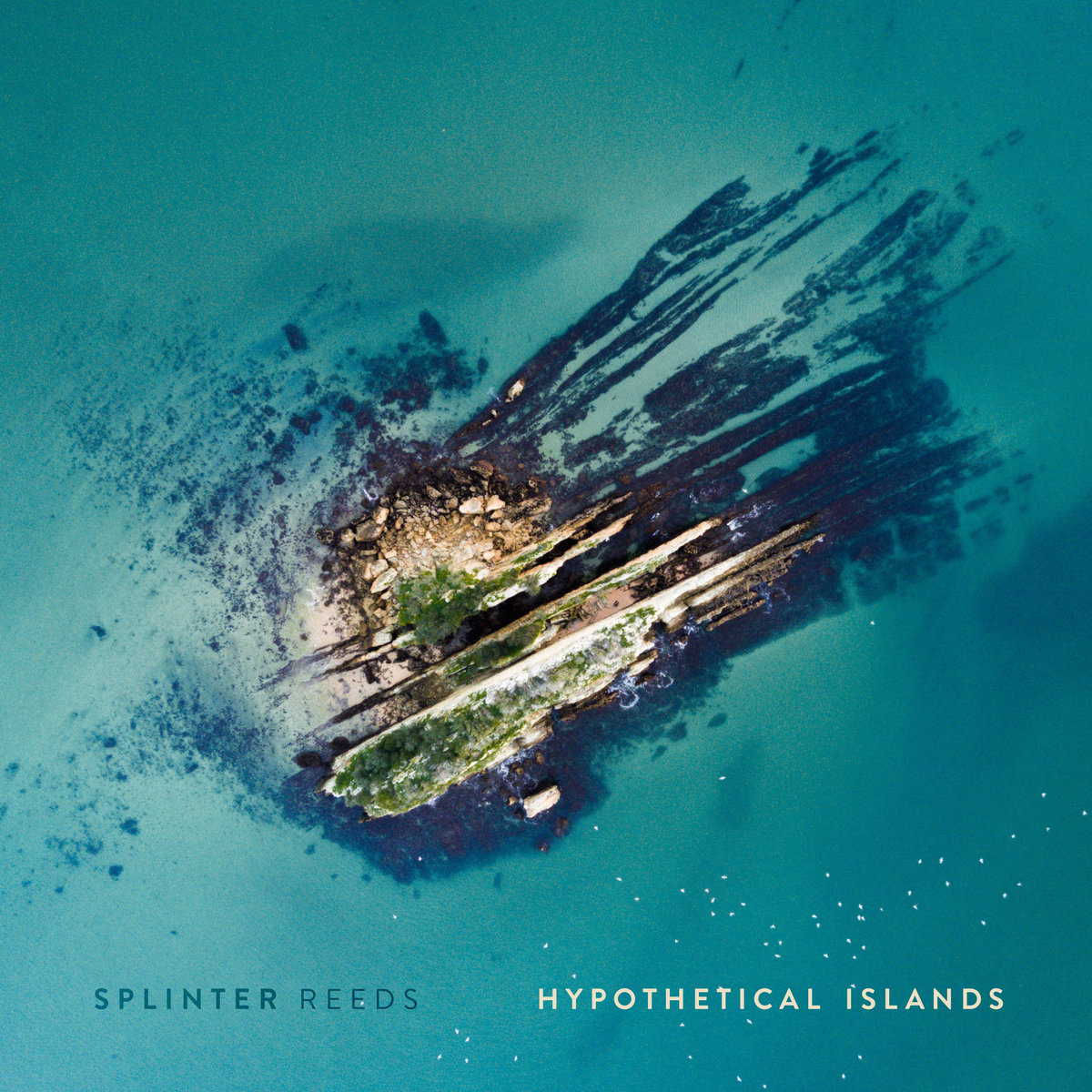 Copy of Splinter Reeds - Hypothetical Islands