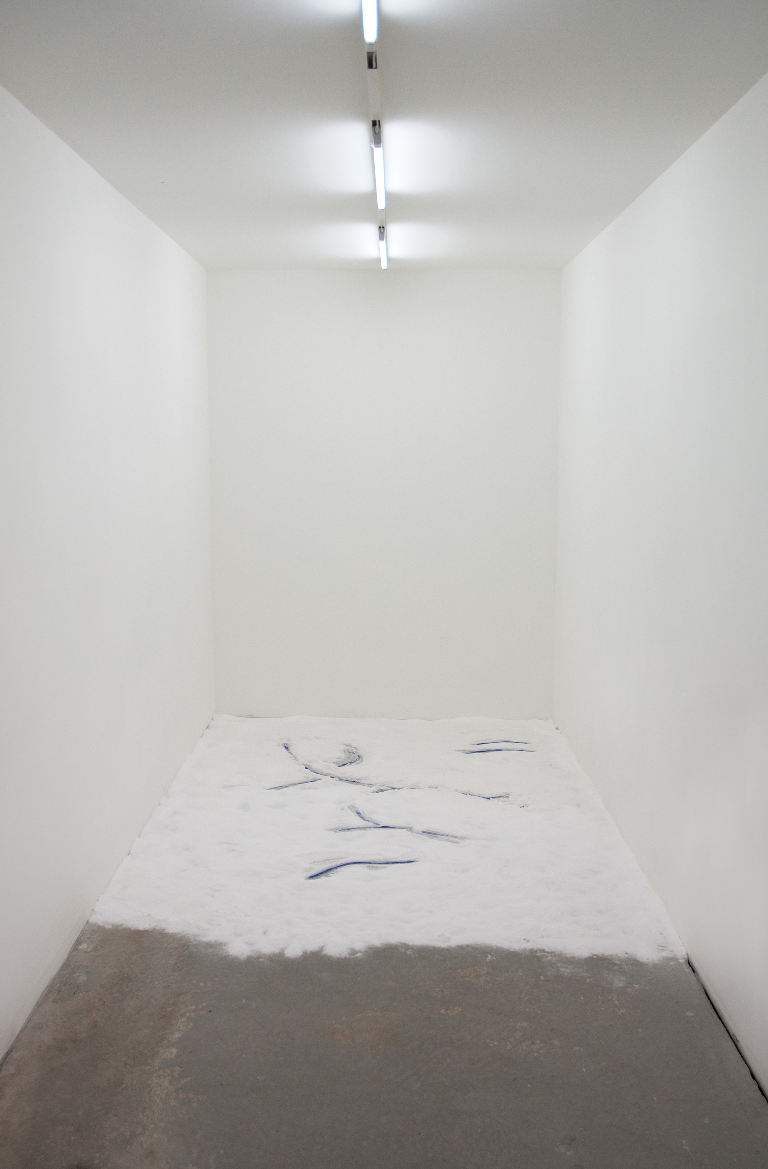  Free Sea, 2014 sea salt, acrylic paint  at  Flake  / Photo Kate Meakin 