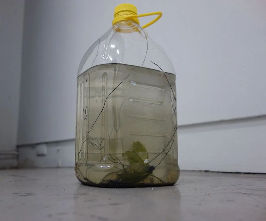 7_virginia-overell-tcb-water-with-copper.jpg