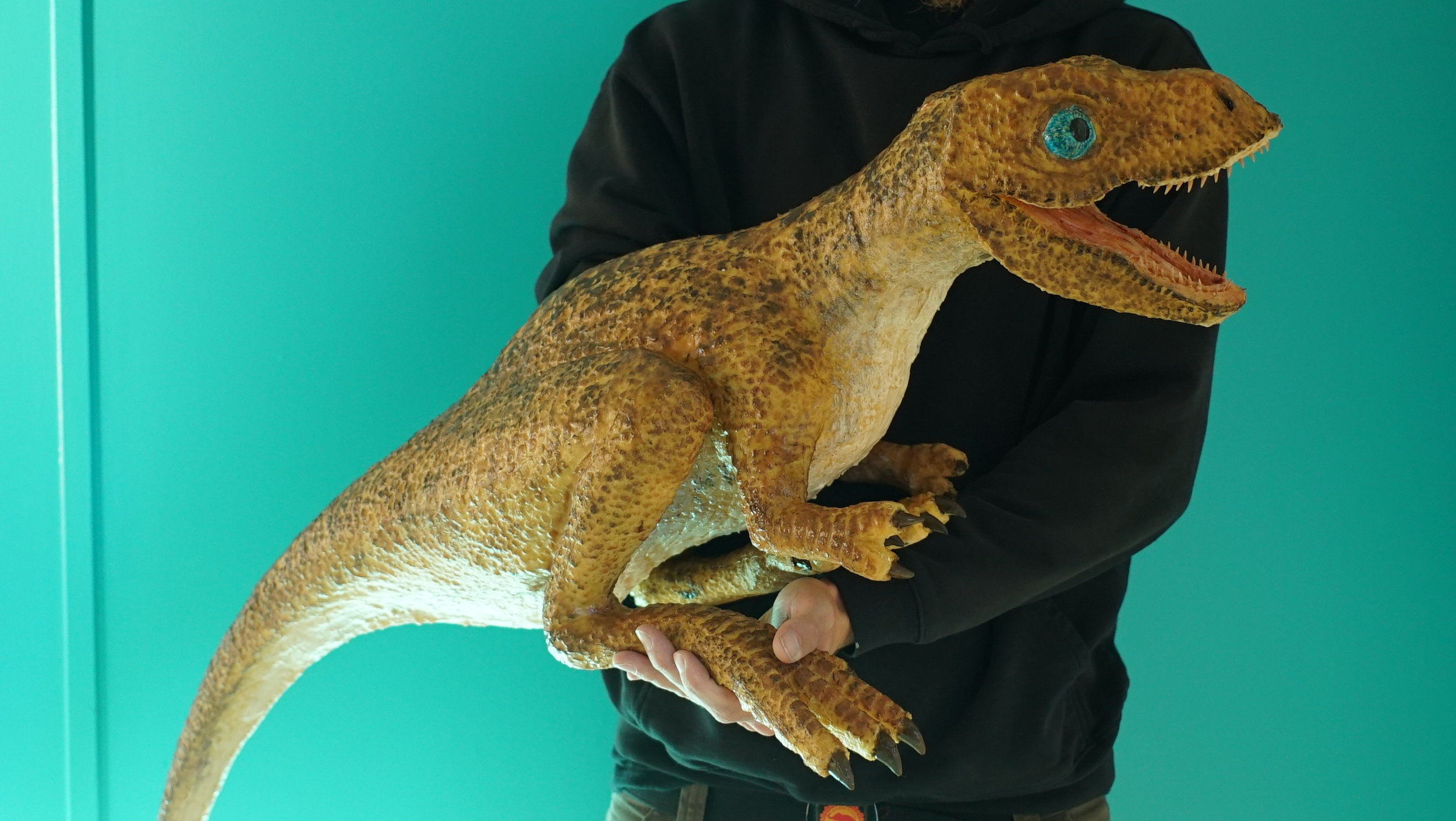 tyrannosaurus rex puppet