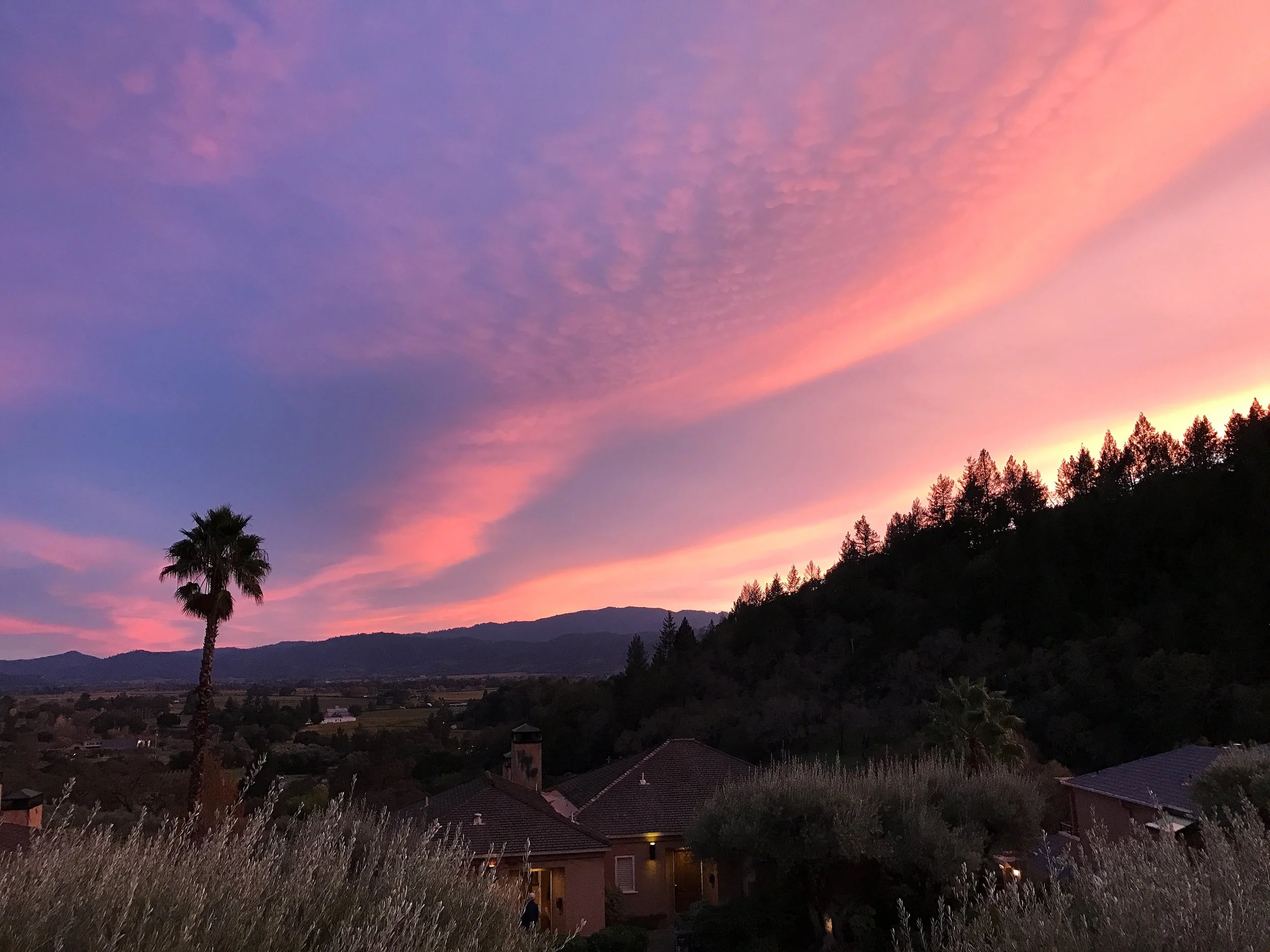 How gorgeous is this view from our room? Sunsets here are bursting with vibrant colors. #nofilter