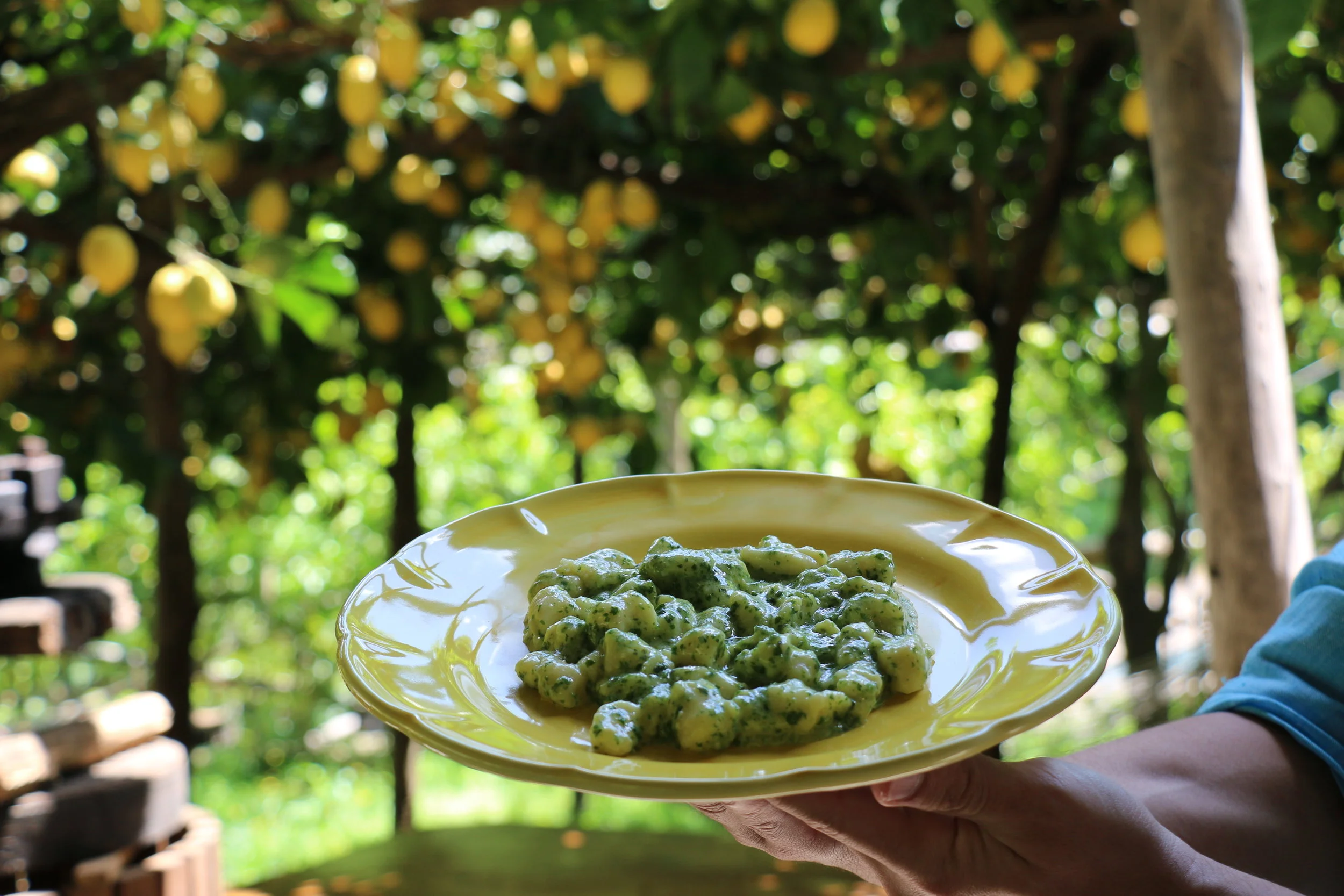 Our 3rd dish: Handmade Lemon Gnocchi tossed in fresh made pesto