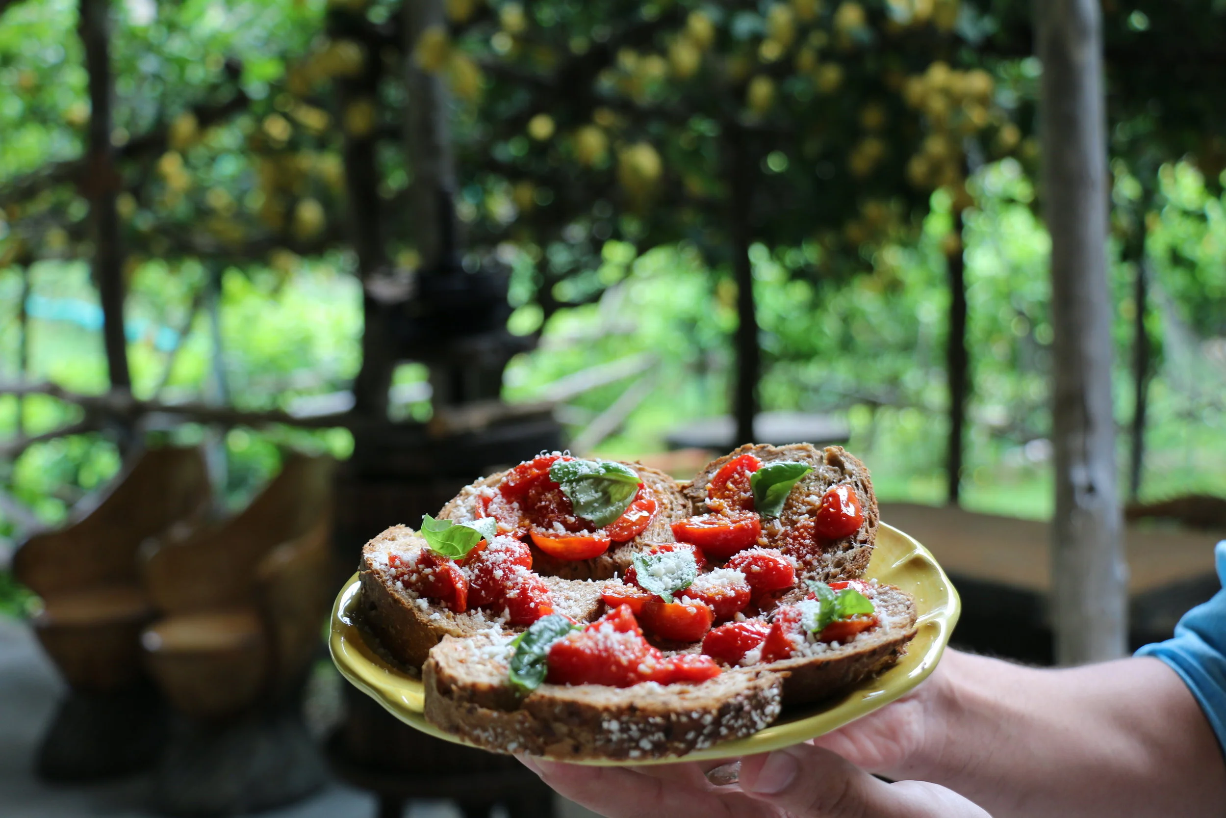 4th dish: Freshly baked local bread made with whole grains topped with freshly marinated tomatoes, basil, and grated parmigiano