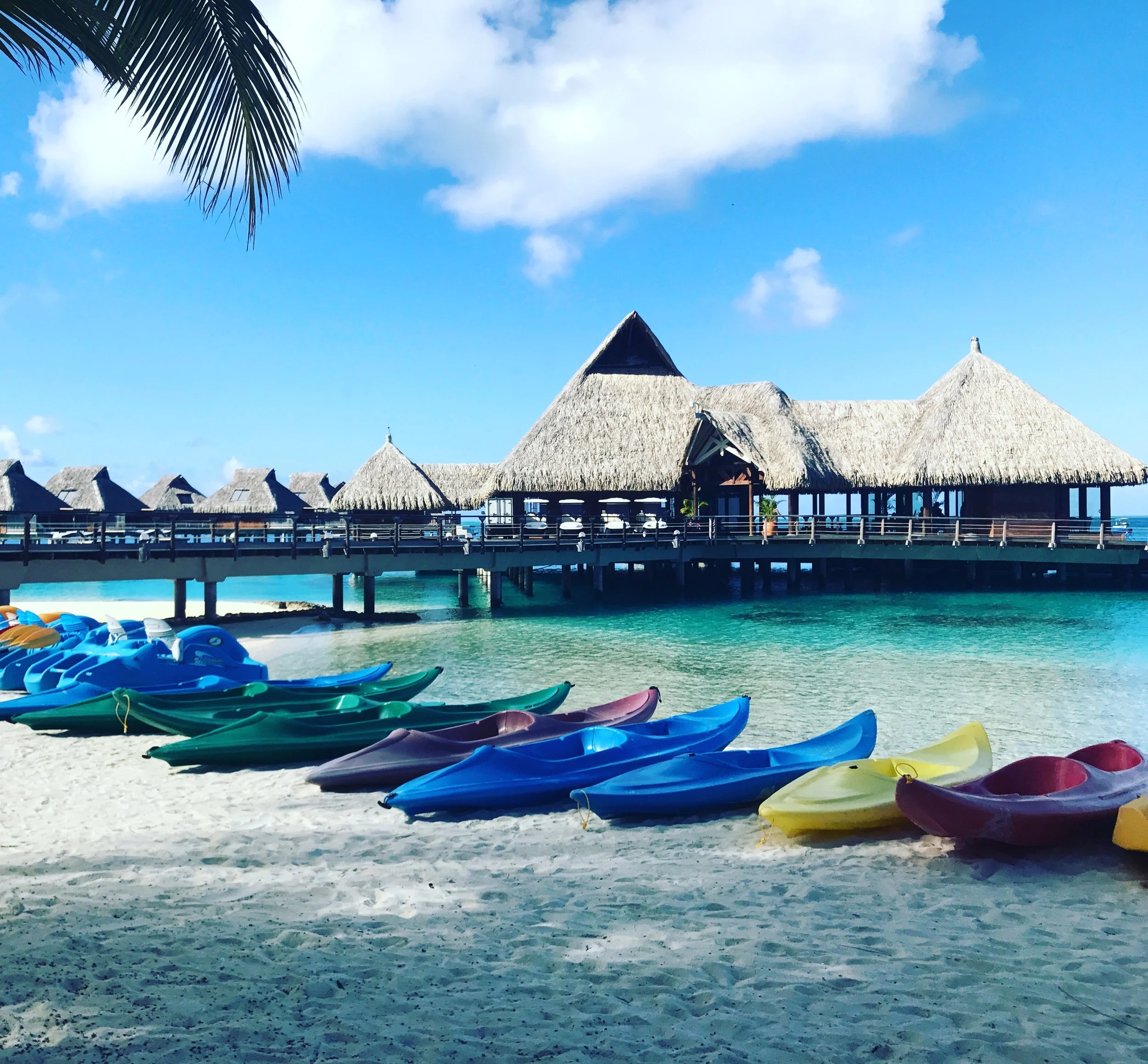 The bevy of color canoes you can choose from to paddle out and explore with 