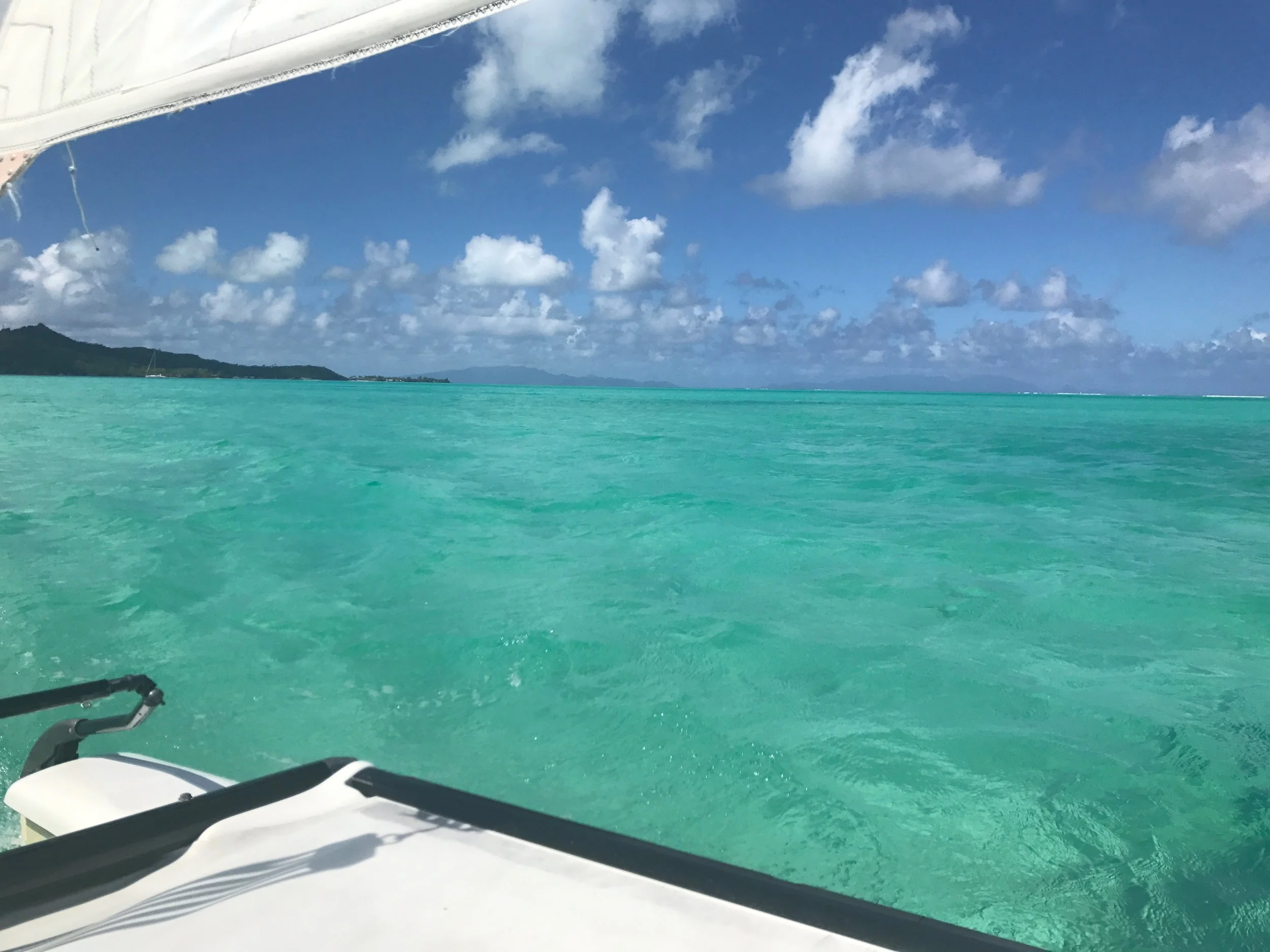 Ride out on a Hobie Cat and enjoy this incredibly clear water for miles and miles and miles