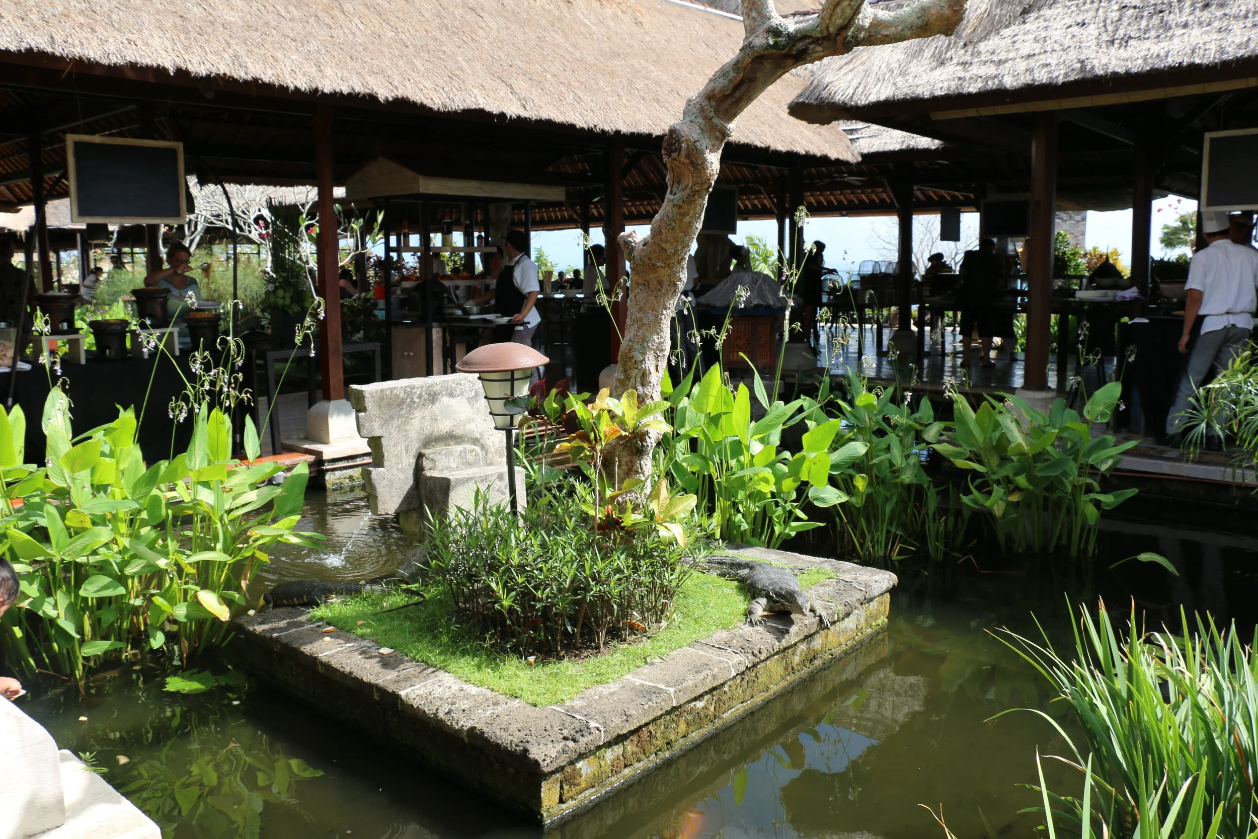 Can you spot the little Komodo Dragon? 